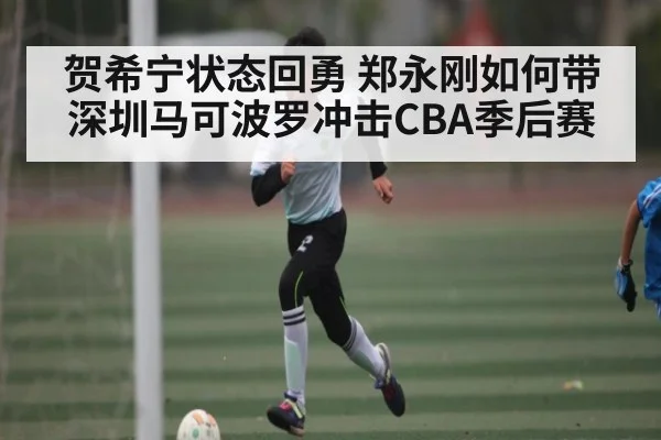 贺希宁状态回勇 郑永刚如何带深圳马可波罗冲击CBA季后赛